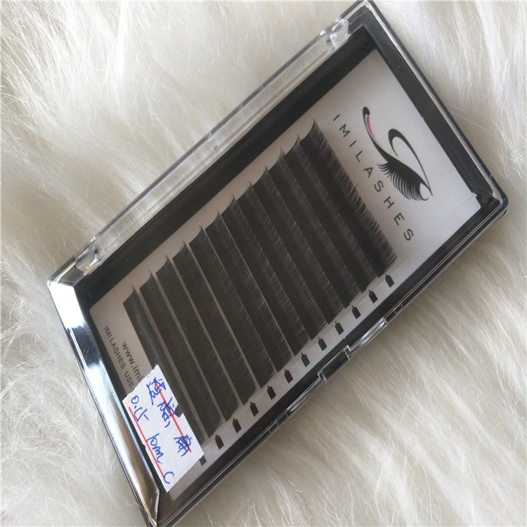 2019 New type of flat eyelashes wholesales in with best quality and good price.jpg